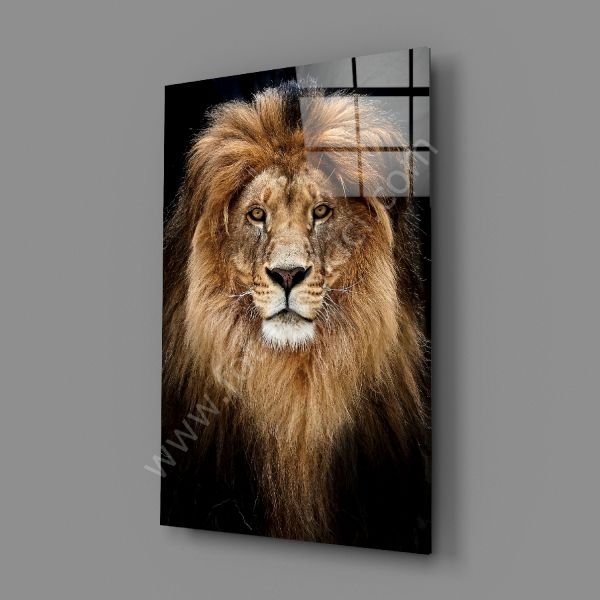 Aslan Cam Tablo