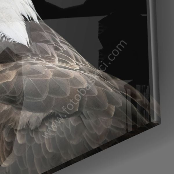 Kartal Cam Tablo No:6048