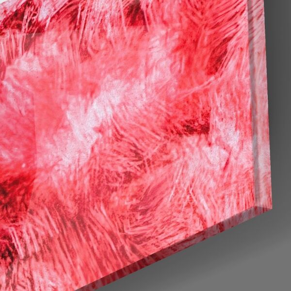 Astronot ve Uzay Çimenleri Cam Tablo