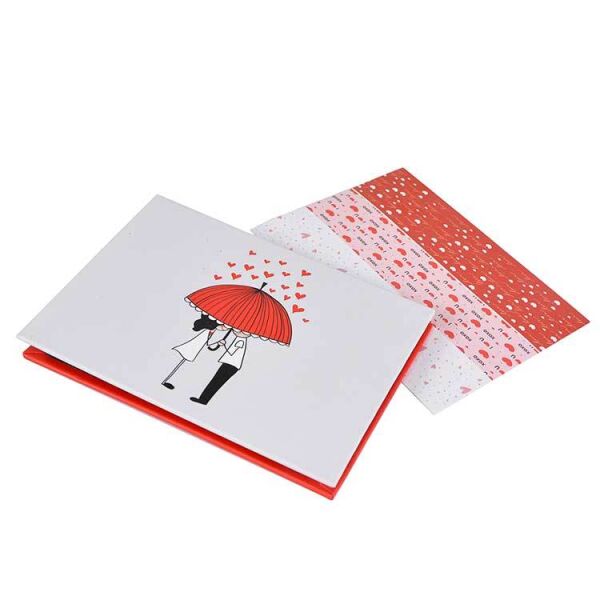 Sevgili Akordiyon Fotoğraf Albümü