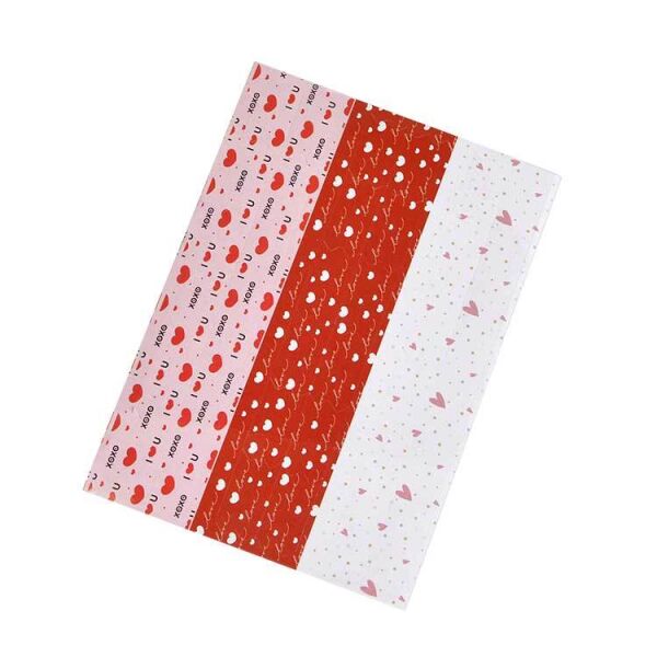 Love Akordiyon Fotoğraf Albümü