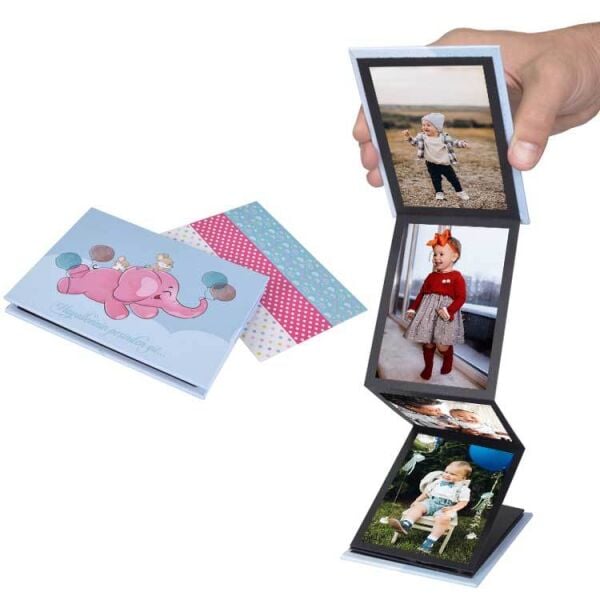 Pembe Filli Akordiyon Fotoğraf Albümü