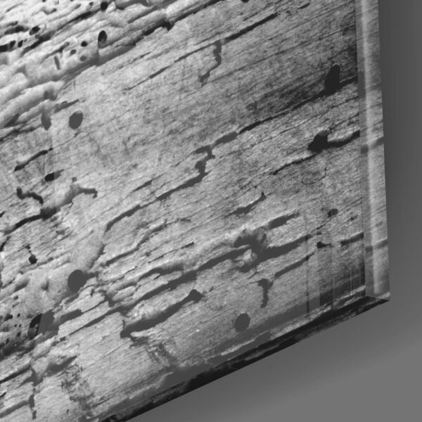 Kırmızı Gül Cam Tablo