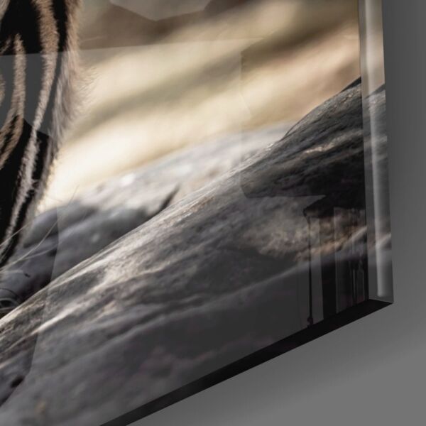 Kaplan Cam Tablo No:1057