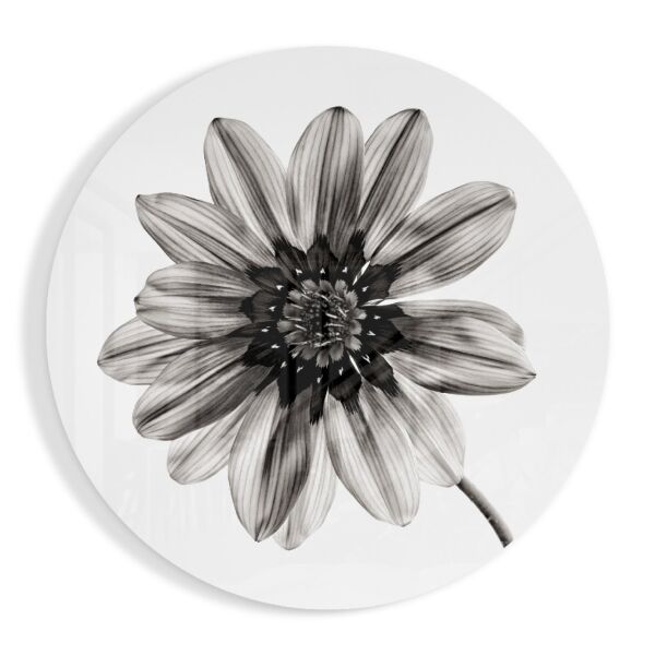 Çiçek Cam Tablo No:2060