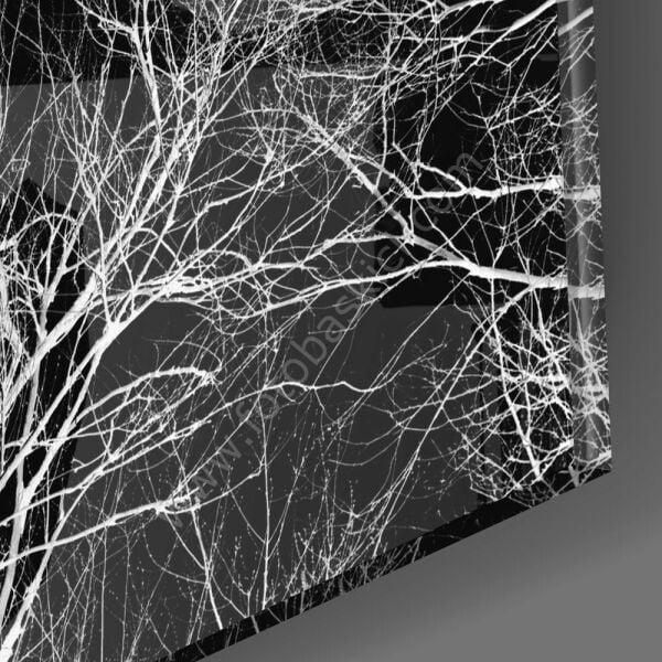 Ağacın Gecesi Cam Tablo