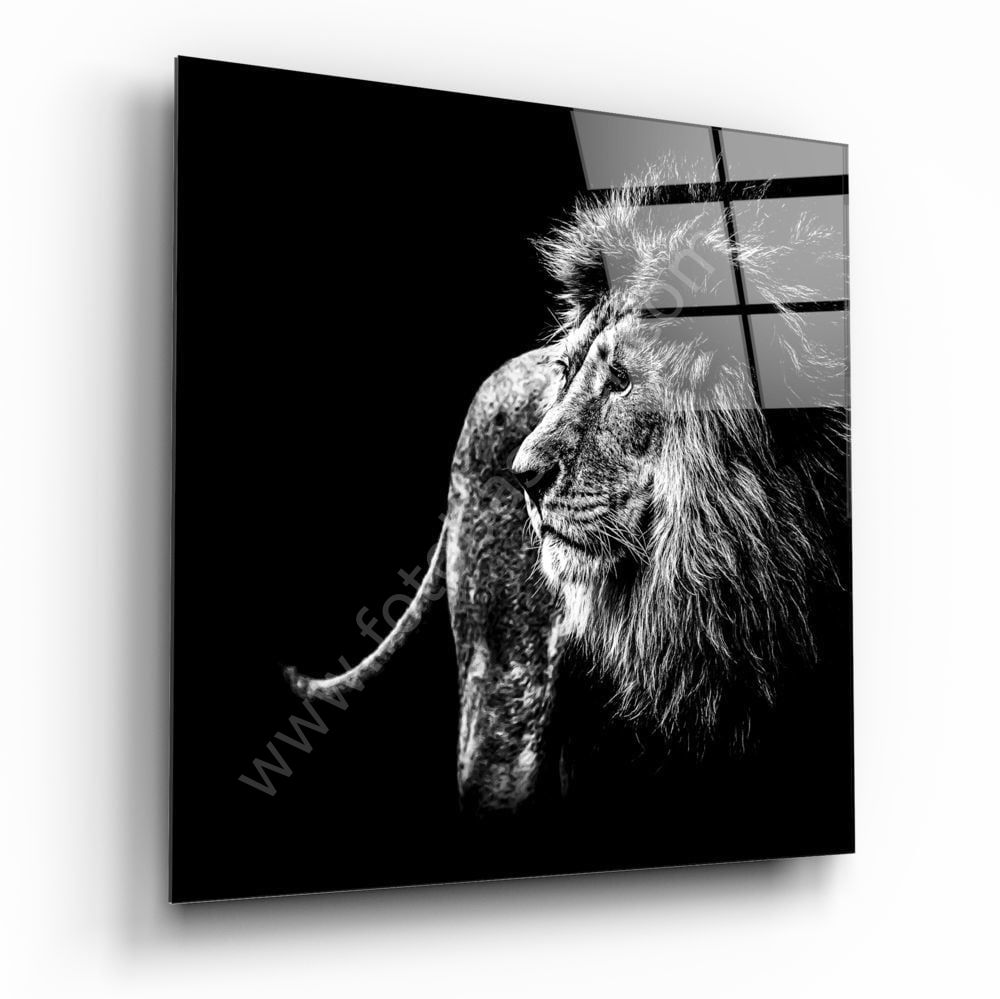 Aslan Cam Tablo No:1108
