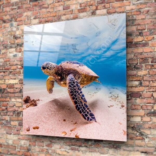 Deniz Kaplumbağası Cam Tablo No:1125