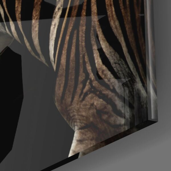 Zebra Cam Tablo No:1048