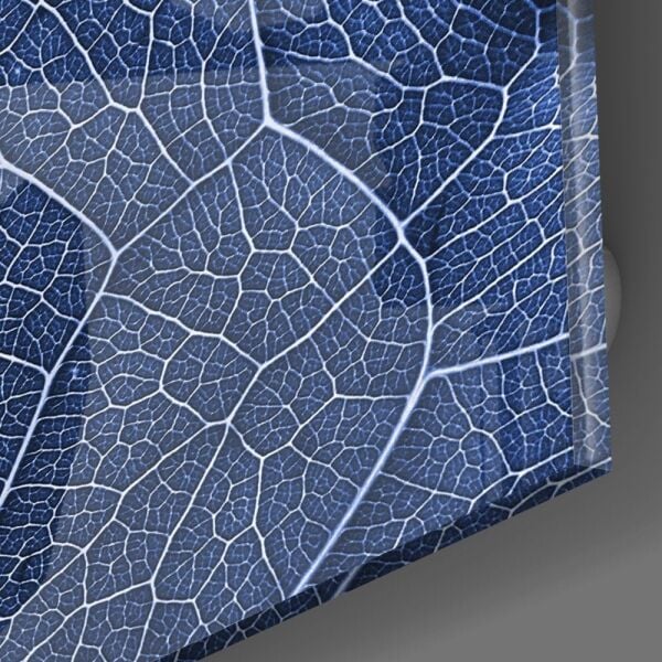 Makro Mavi Yaprak Cam Tablo