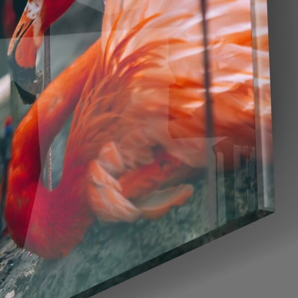 Flamingolar Cam Tablo