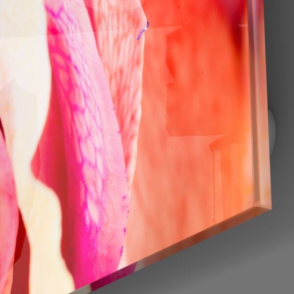 Renkli Gül Cam Tablo