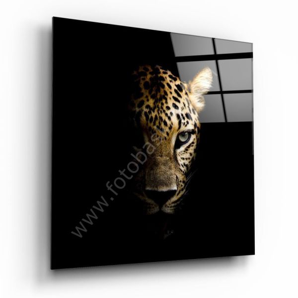 Leopar Cam Tablo No:2007