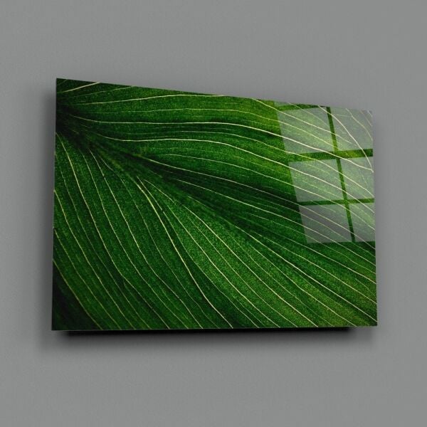 Yeşil Yaprak Cam Tablo