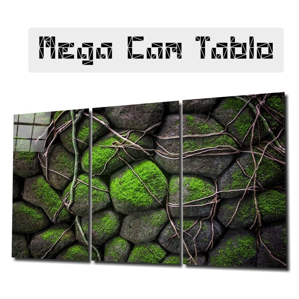 Yosunlu Taşlar Mega Cam Tablo