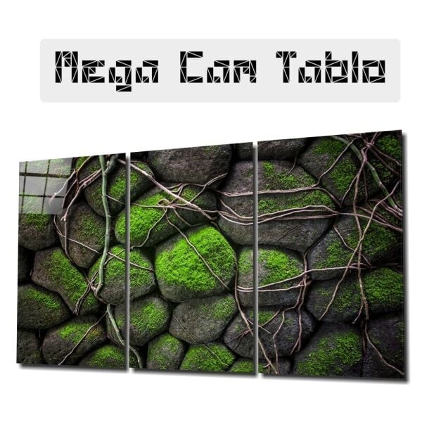 Yosunlu Taşlar Mega Cam Tablo