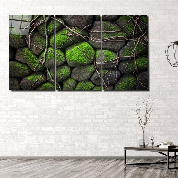 Yosunlu Taşlar Mega Cam Tablo