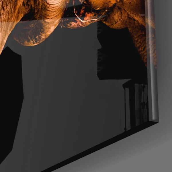 Gergedan Cam Tablo No:9066