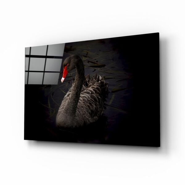 Siyah Kuğu Cam Tablo