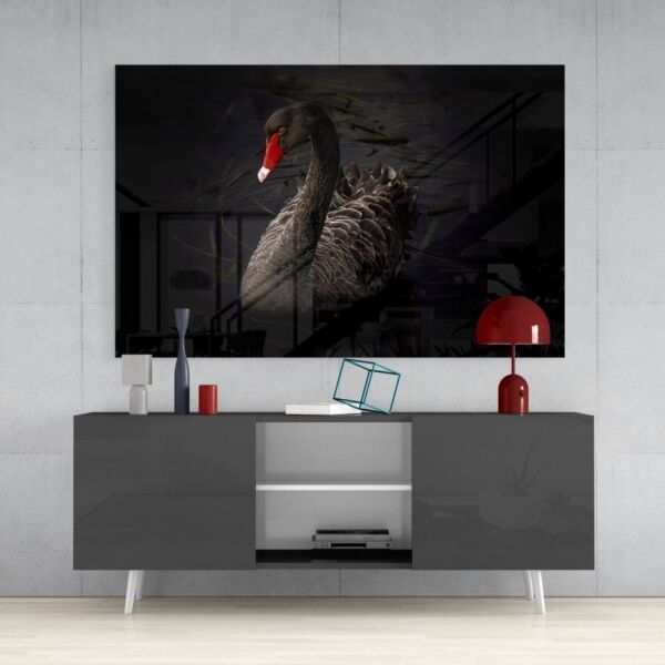 Siyah Kuğu Cam Tablo