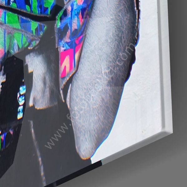 Prenses Leia Cam Tablo