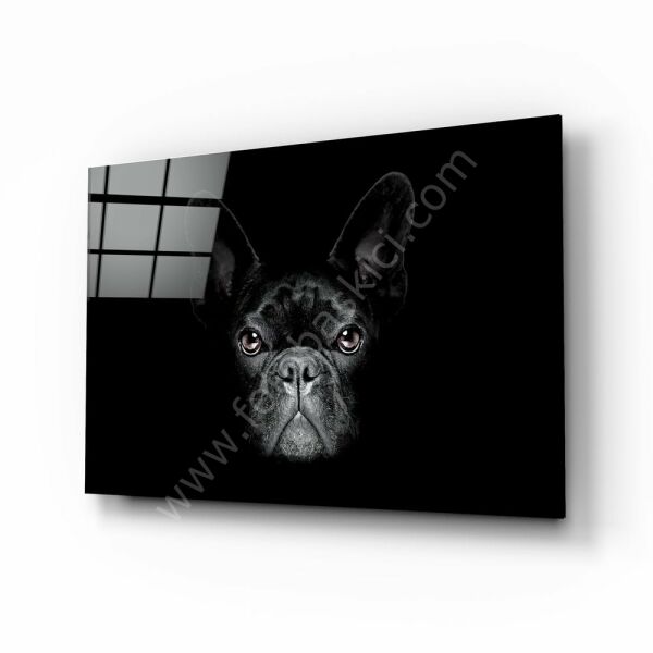 Köpek Cam Tablo