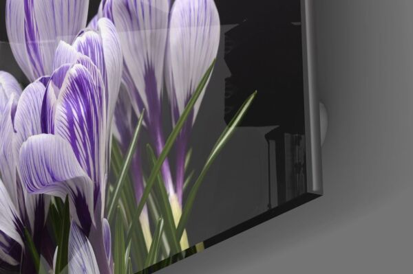 Mor Çiçekler Cam Tablo