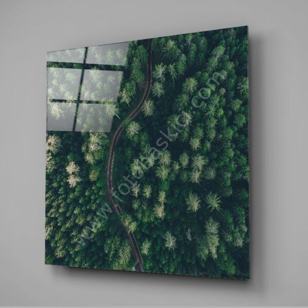 Orman Yolu Cam Tablo