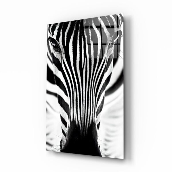 Zebra Cam Tablo No:8047