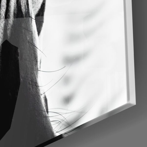 Zebra Cam Tablo No:8047