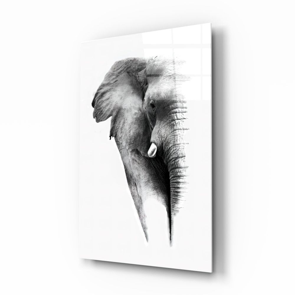 Fil Cam Tablo No:8044