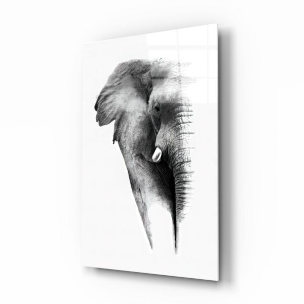 Fil Cam Tablo No:8044