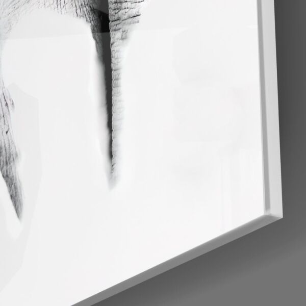 Fil Cam Tablo No:8044