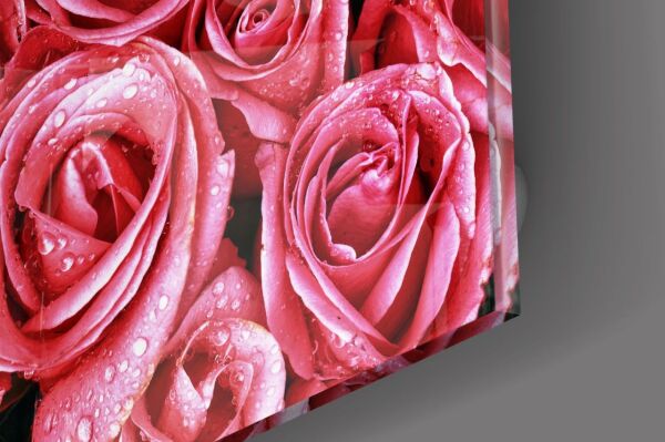 Pembe Güller Cam Tablo