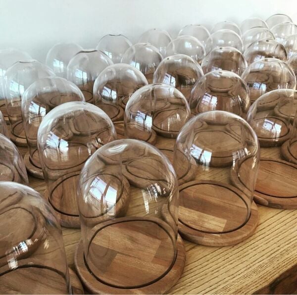 Ahşap Tabanlı Cam Fanus 15x21 cm