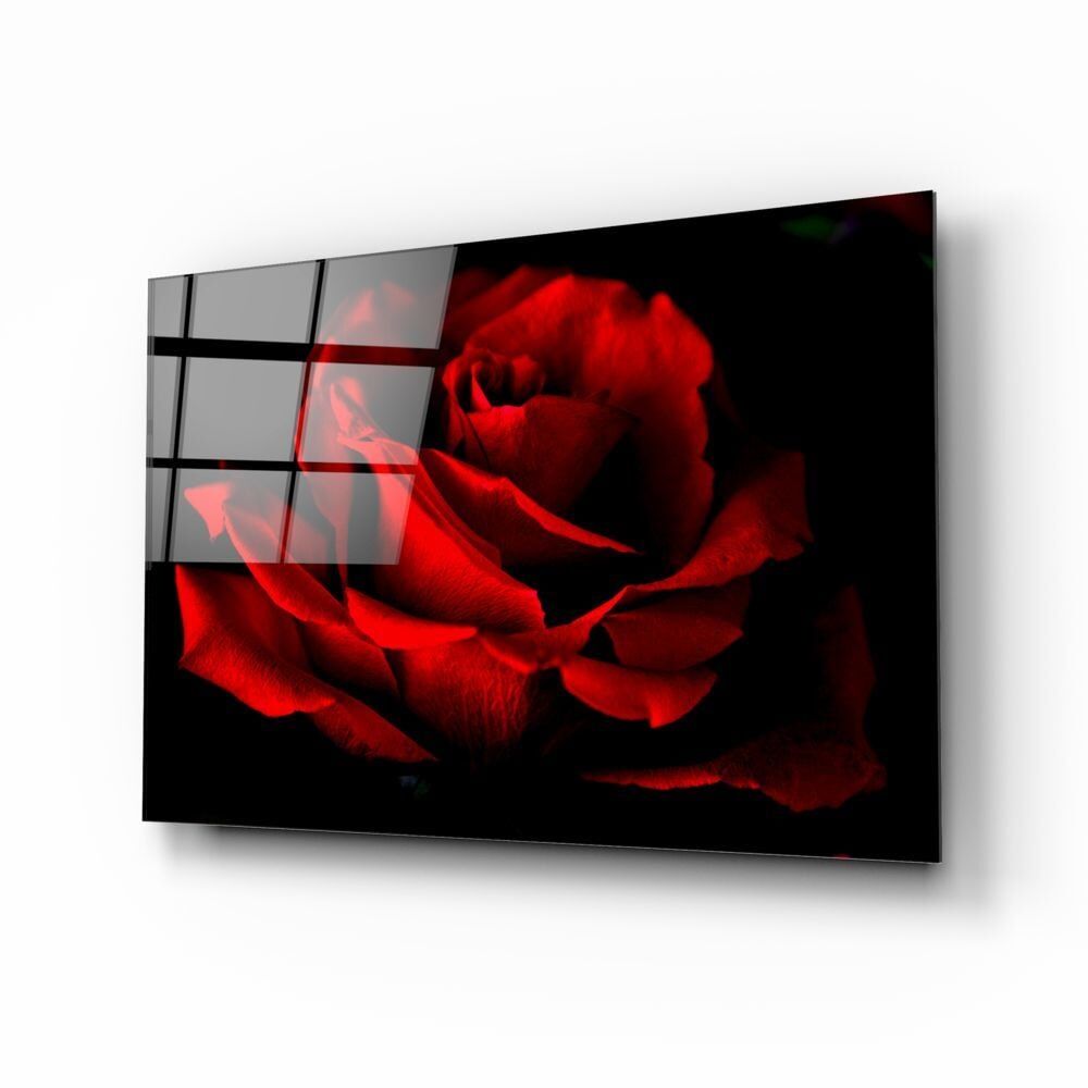 Kırmızı Gül Cam Tablo