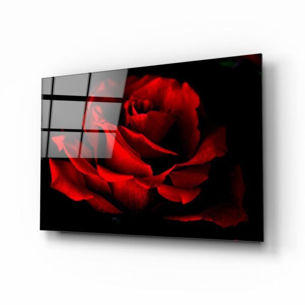 Kırmızı Gül Cam Tablo