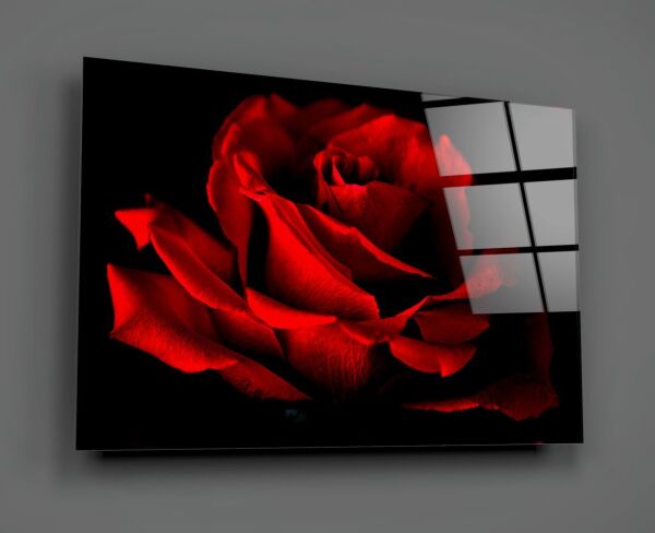 Kırmızı Gül Cam Tablo