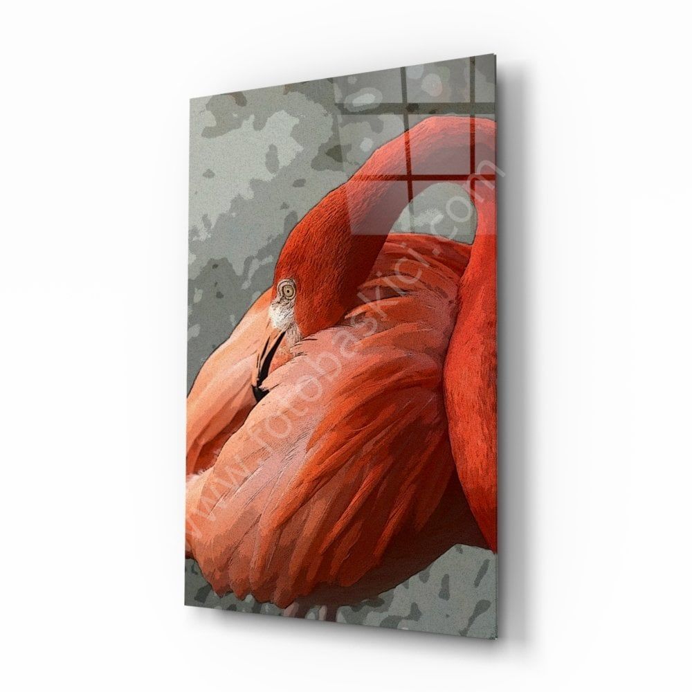 Flamingo Cam Tablo