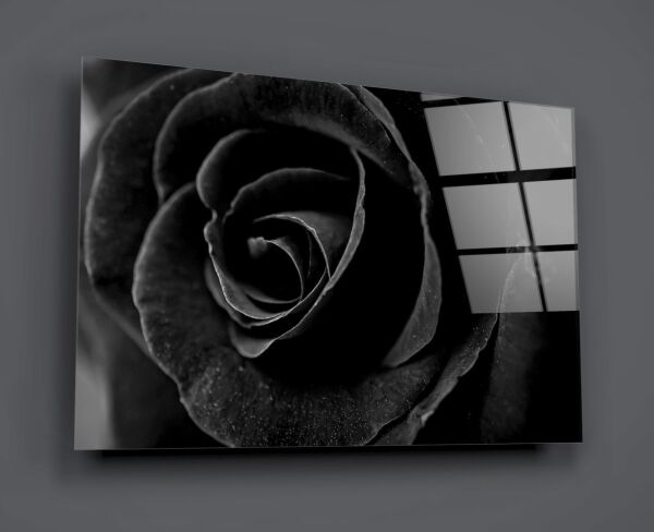 Siyah Gül Cam Tablo