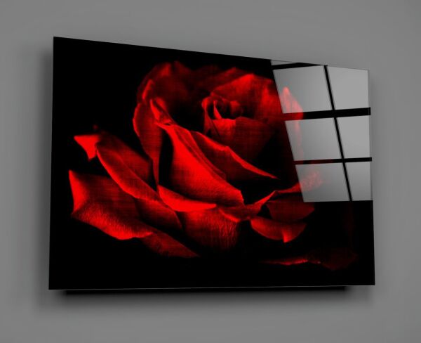 Kırmızı Gül Cam Tablo