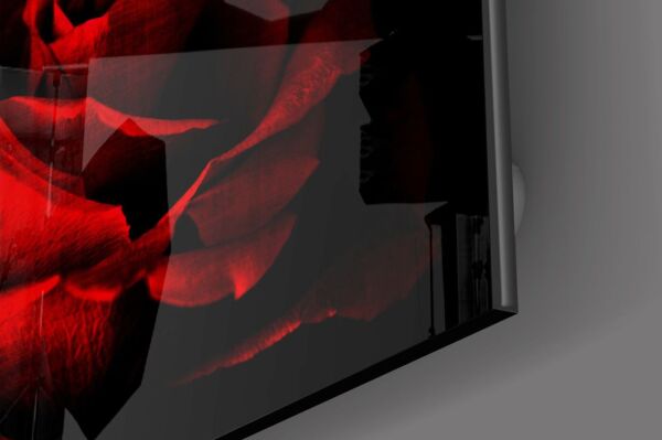 Kırmızı Gül Cam Tablo