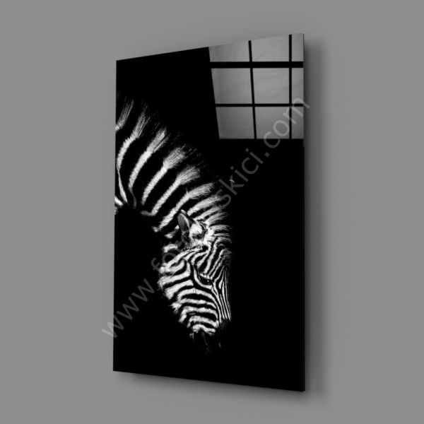 Zebra Cam Tablo