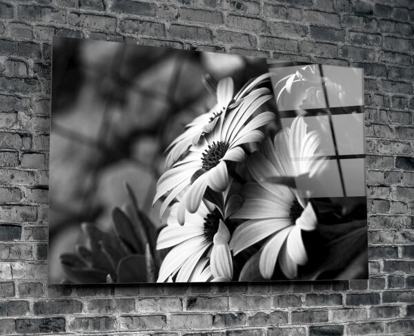 Siyah-Beyaz Çiçek Cam Tablo