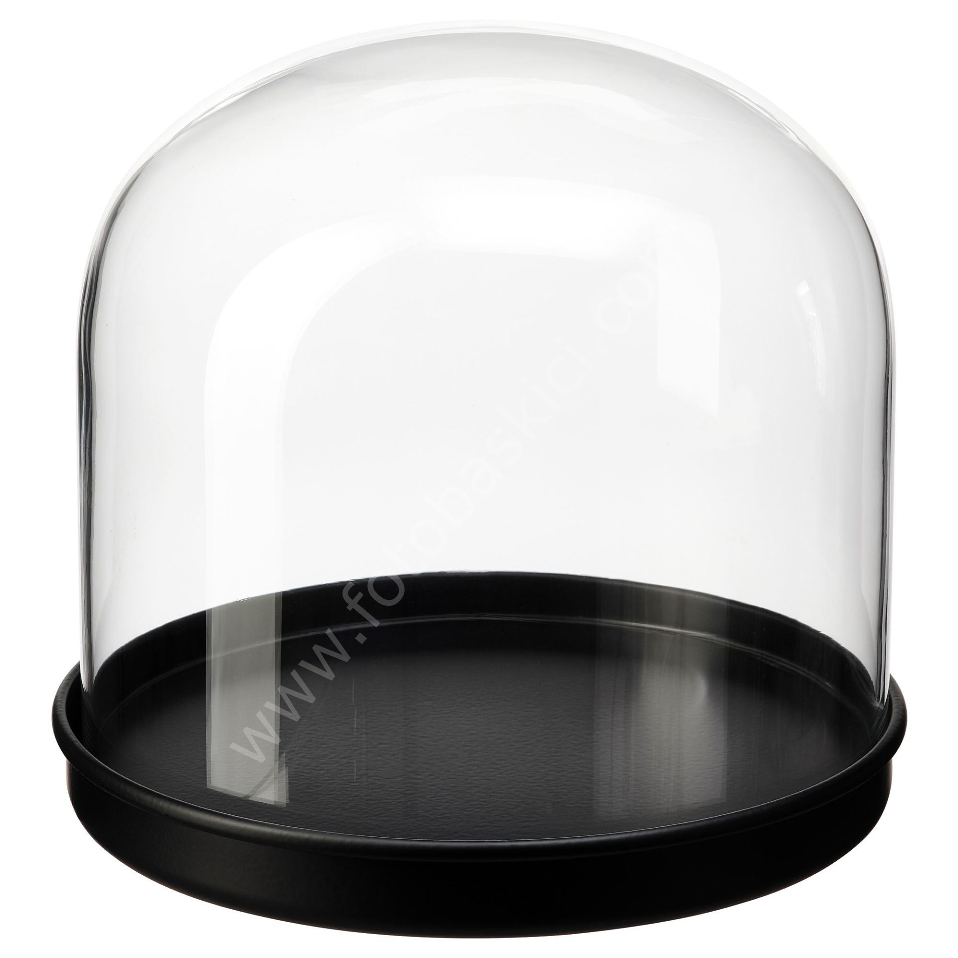 Siyah Altlıklı Cam Fanus 18x16 cm