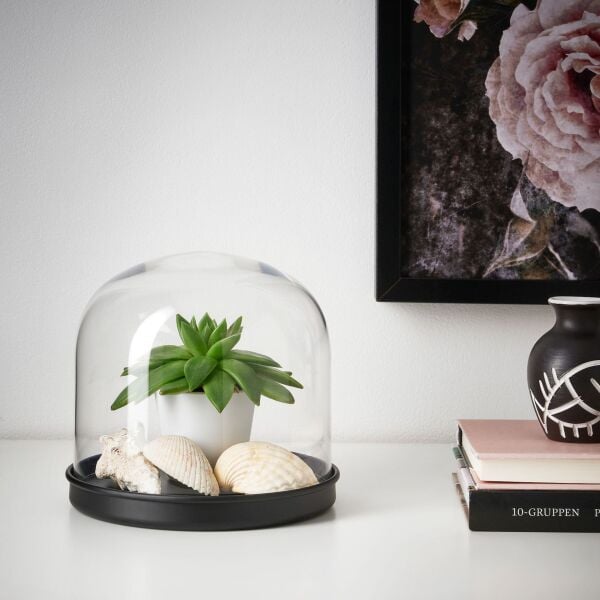 Siyah Altlıklı Cam Fanus 18x16 cm