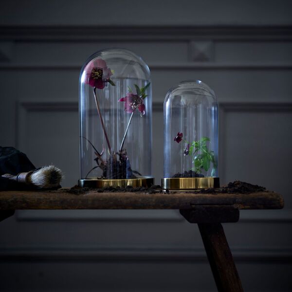 Gold Altlıklı Cam Fanus 10x19 cm