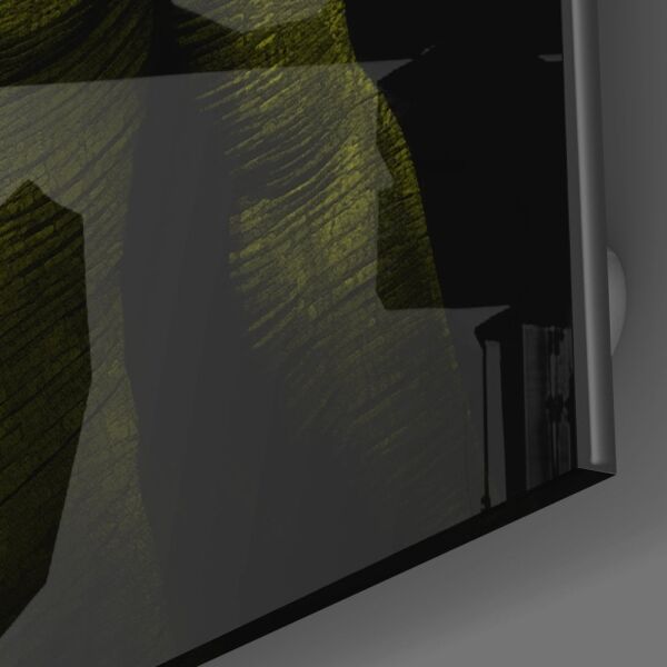 Donnie Yelow Cam Tablo