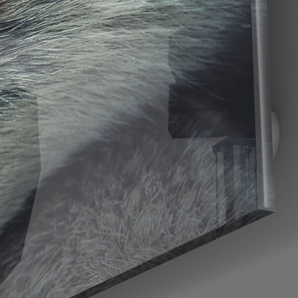 Kurdun Gözü Cam Tablo