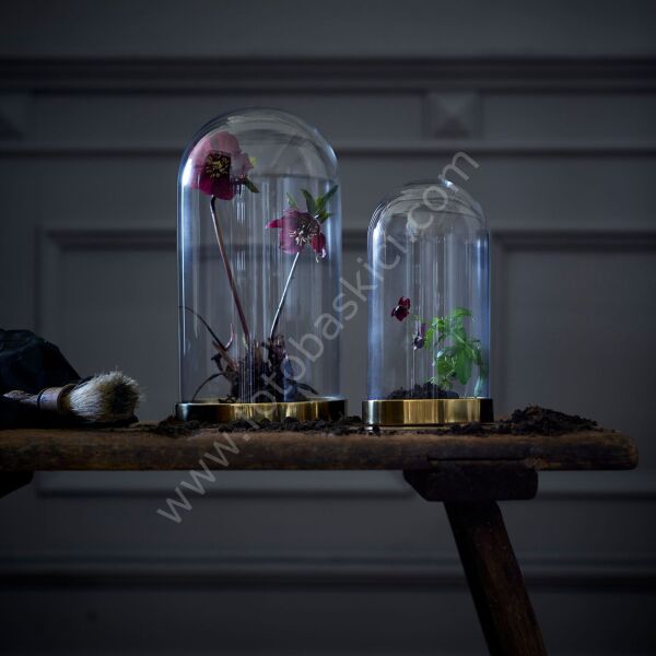 Gold Altlıklı Cam Fanus 14x27 cm